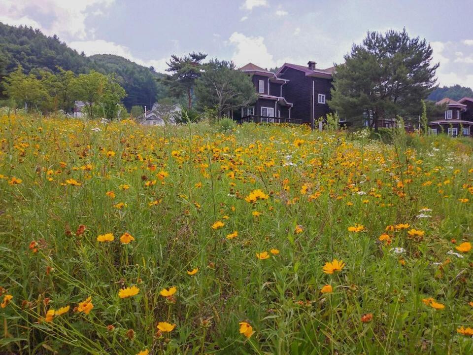 Morning Sound Hotel Pyeongchang Exterior photo